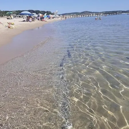 Family Magnolia - Summer 3*