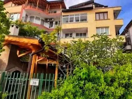 Family Magnolia - Summer Primorsko