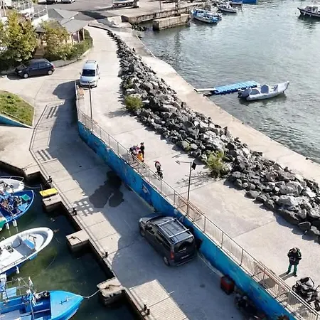 Family Magnolia - Summer Casa de hóspedes 3*