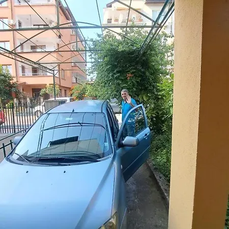 Family Magnolia - Summer 3*