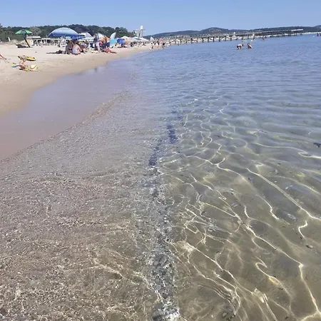 Family Magnolia - Summer 3* 프리모르스코