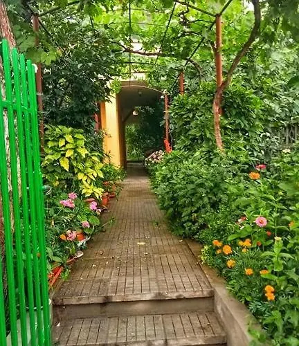 Family Magnolia - Summer Primorsko