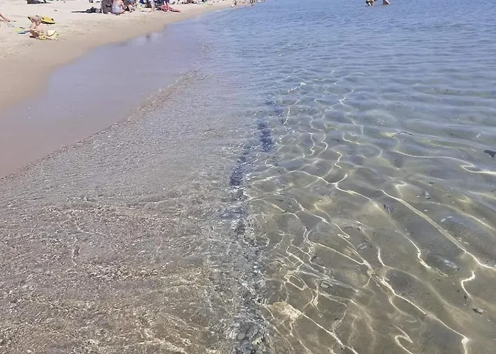 Family Magnolia - Summer 3* Primorsko