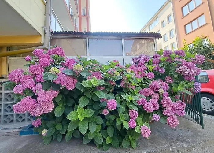 Casa de hóspedes Family Magnolia - Summer 3*