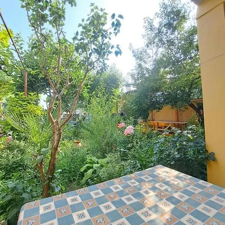 Family Magnolia - Summer Guest house 3*