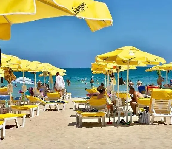 Family Magnolia - Summer