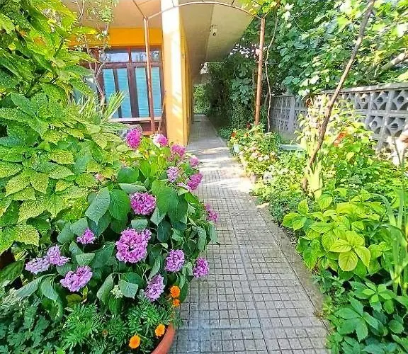 Family Magnolia - Summer