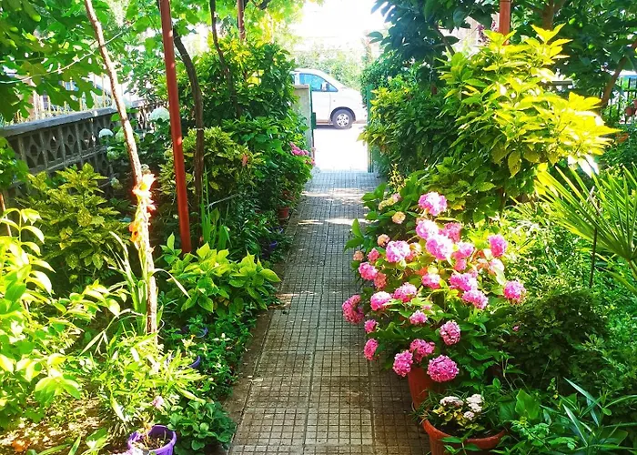 Family Magnolia - Summer Gasthof 3*