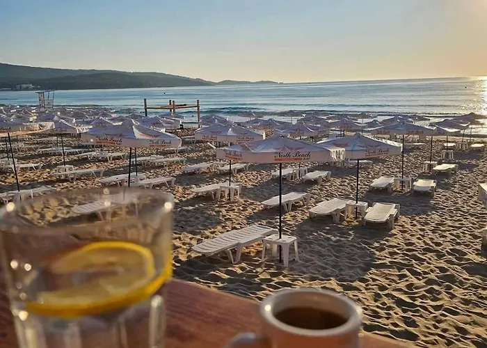 Family Magnolia - Summer 3*